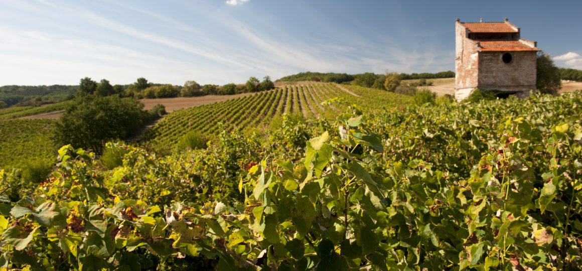 les vins de gaillac