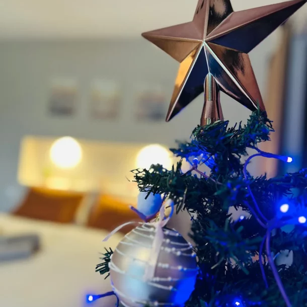 offres réveillons fées des chênes