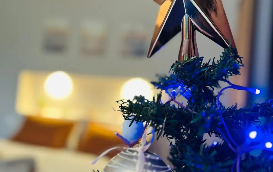 offres réveillons fées des chênes